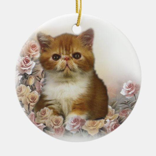 Perzische katten Ornamenten (Voorkant)