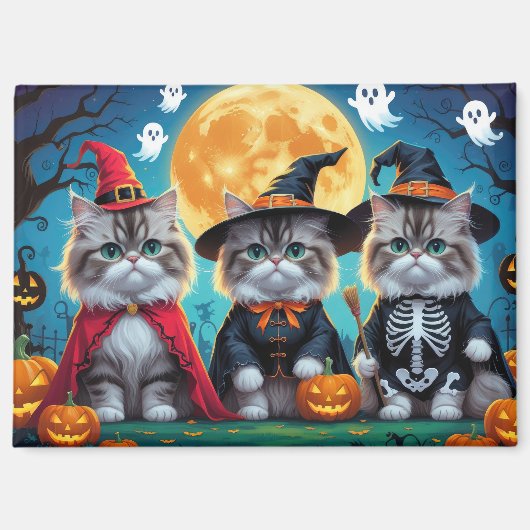 Perzische katten pompoen Halloween grappig Magneet (Voorkant)
