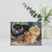 Perzische katten, rook en Sinaasappel Briefkaart (Staand voorkant)