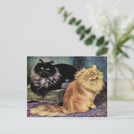Perzische katten, rook en Sinaasappel Briefkaart (Staand voorkant)