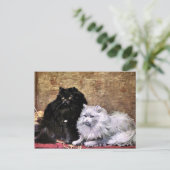 Perzische katten schilderen briefkaart (Staand voorkant)