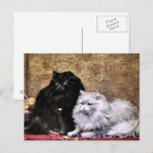 Perzische katten schilderen briefkaart (Voorkant / Achterkant)