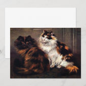 Perzische Katten Tortoiseshel #Caturday Uitnodigin Kaart (Voorkant / Achterkant)