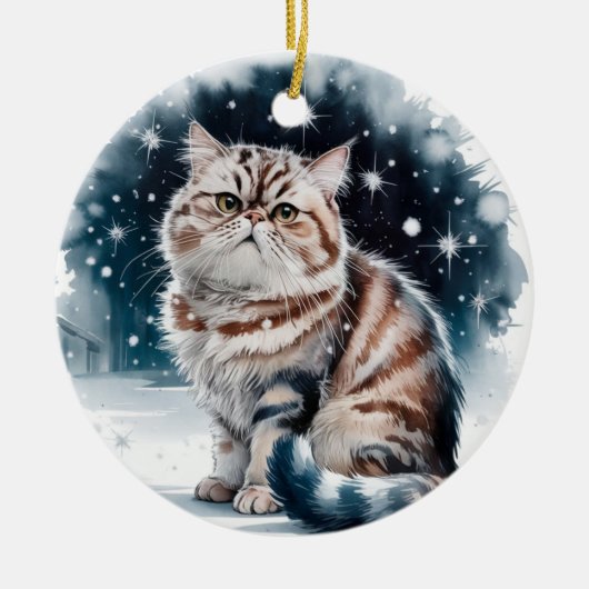 Perzische kattencirkel Kerstmis Xmas Ornament (Voorkant)