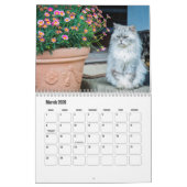 Perzische kattenkalender kalender (Mar 2026)