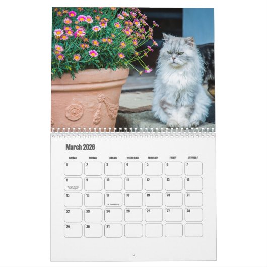 Perzische kattenkalender kalender (Mar 2026)