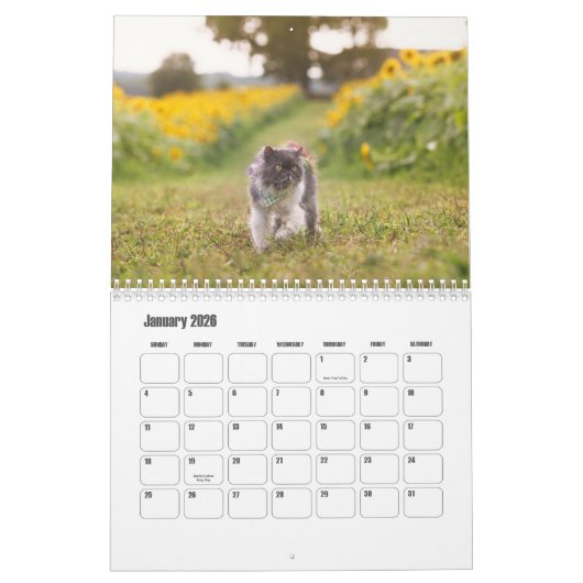 Perzische kattenkalender kalender (Jan 2026)