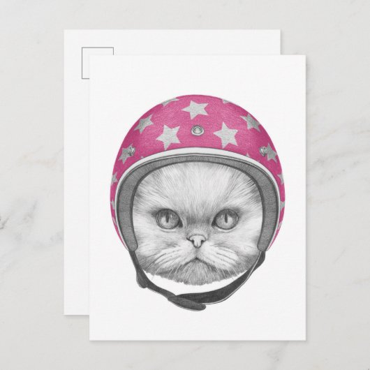 Perzische kattenrijder briefkaart (Voorkant / Achterkant)