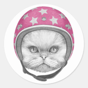 Perzische kattenrijder ronde sticker