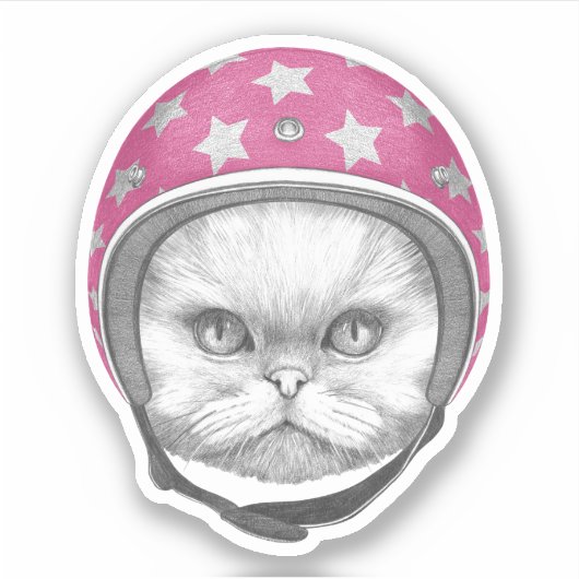 Perzische kattenrijder sticker (Voorkant)