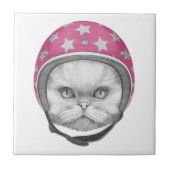 Perzische kattenrijder tegeltje (Voorkant)