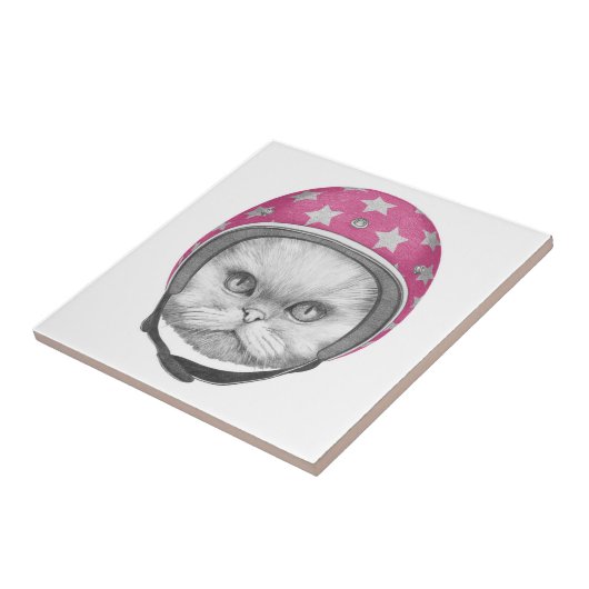 Perzische kattenrijder tegeltje (Zijkant)