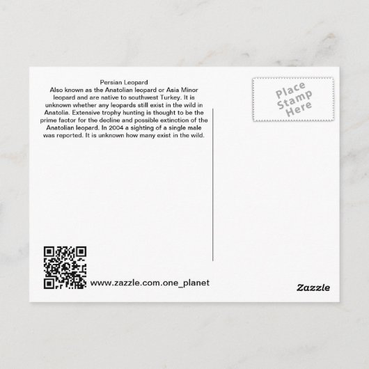 Perzische luipaard briefkaart (Achterkant)