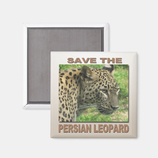 Perzische luipaard magneet (Voorkant / Achterkant)