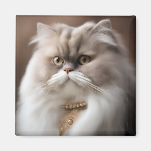 Perzische schoonheid kat magneet (Voorkant)