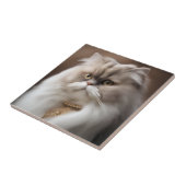 Perzische schoonheid kat tegeltje (Zijkant)