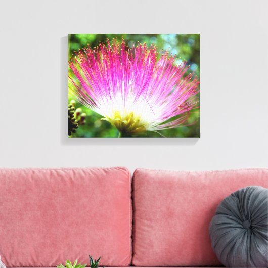 Perzische Zijde Boom Bloem Canvas Print (Insitu (Woonkamer))