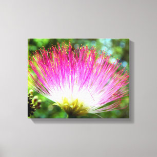 Perzische Zijde Boom Bloem Canvas Print