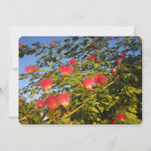 perzische zijdeboom feestdagenkaart (Voorkant)