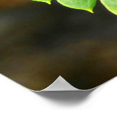 Perzische zijderoute laat Poster (Hoek)