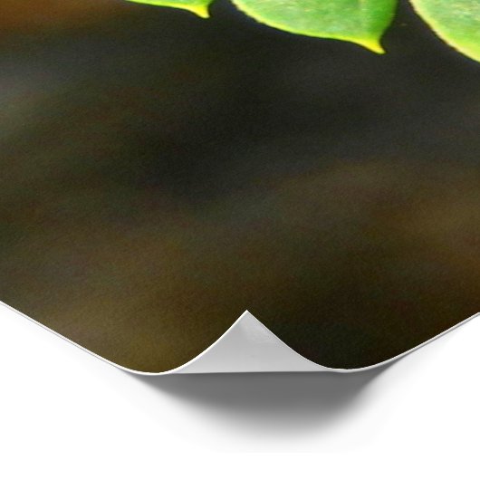 Perzische zijderoute laat Poster (Hoek)