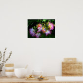 Perzische zijderoute (Mimosa) in volledige bloei Poster (Keuken)