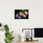 Perzische zijderoute (Mimosa) in volledige bloei Poster (Thuiskantoor)