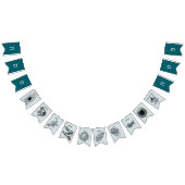 Pesach Plagen voor Seder Vlaggetjes (Alle)