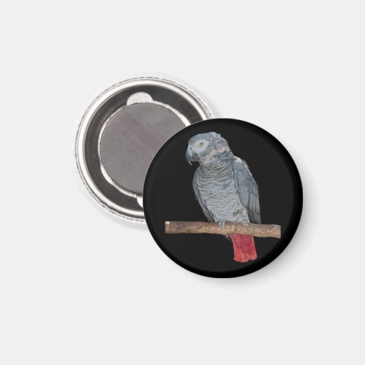 Pesky Parrot Magnet (Voorkant / Achterkant)