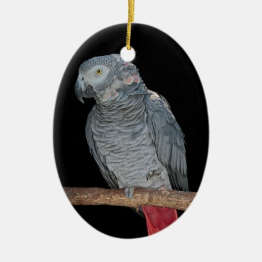 Pesky Parrot Ornament (Voorkant)