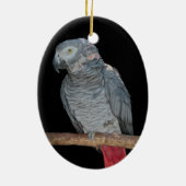 Pesky Parrot Ornament (Achterkant)