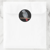 Pesky Parrot Sticker (Tas)