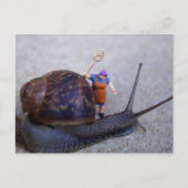 Pest Control Briefkaart (Voorkant)