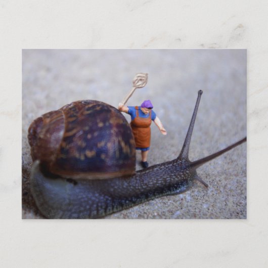 Pest Control Briefkaart (Voorkant)