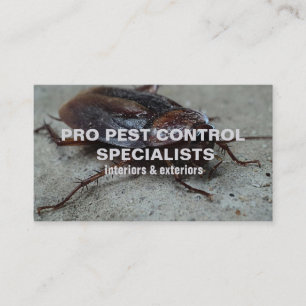 Pest Control Service Photo Visitekaartje