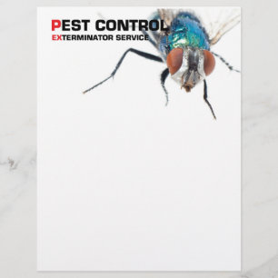Pest-controle Flyer