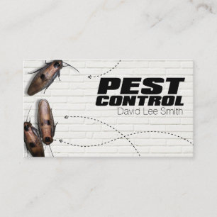 Pest-controle Visitekaartje