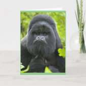 Pest Humor Kaart (Voorkant)