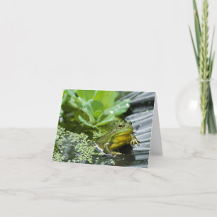 Pesten de Bullfrog Bedankkaart