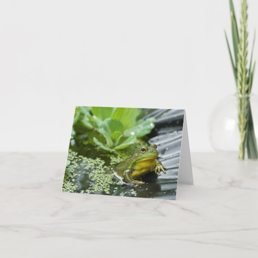 Pesten de Bullfrog Bedankkaart (Voorkant)