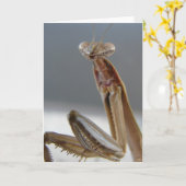 Pesten van antis kaart (Gele Bloem)