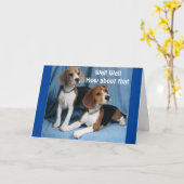 Pesten van beagles voor uw 50ste verjaardag *** kaart (Gele Bloem)