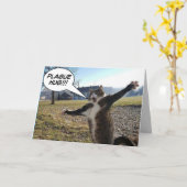 Pestknuffel Kaart (Gele Bloem)