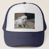 Pet (Voorkant)