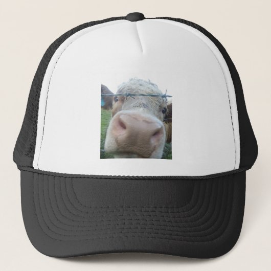 Pet (Voorkant)