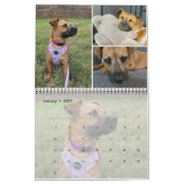 PET aangepaste fotocollage 4 per maand Kalender (Jan 2027)