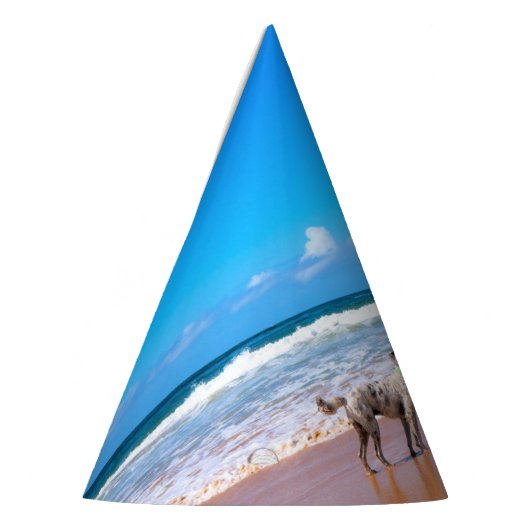 Pet Aangepaste fotopartij met je favoriete foto's Feesthoedjes (Links)