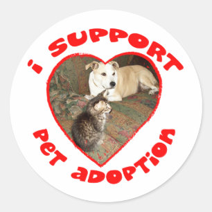 Pet adoptie kitten met pitbull ronde sticker