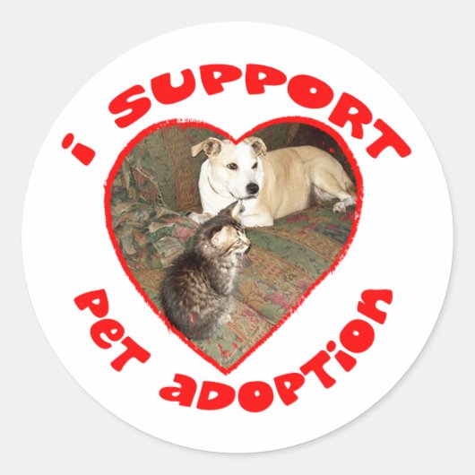 Pet adoptie kitten met pitbull ronde sticker (Voorkant)