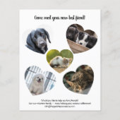 Pet Adoption Bake Sale Fundraiser Flyer (Achterkant)